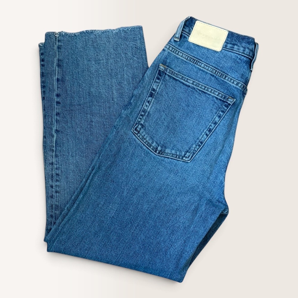 Everlane The Way-High Jean 27 Regular Blue Wide Leg High Rise Raw Hem Denim